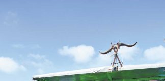 Andreia Heitor, a pescadora que aprendeu a gostar do mar