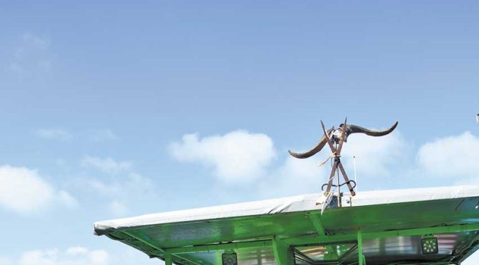 Andreia Heitor, a pescadora que aprendeu a gostar do mar