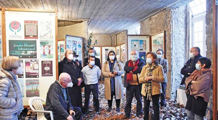 O “mundo” das florestas exposto em cartazes na antiga Casa da Cultura