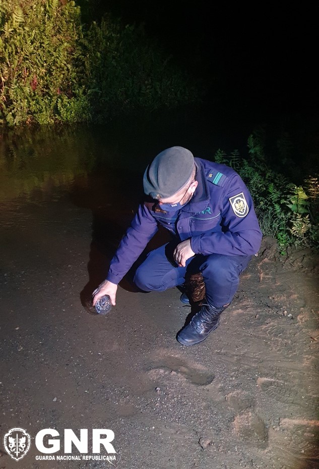 Dois detidos por captura ilegal de meixão nas Caldas