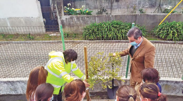 Centro Interpretativo do Geoparque do Oeste nasce no Bombarral