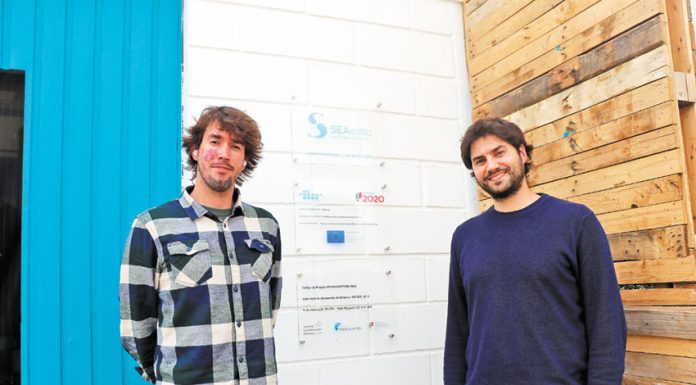 Start-up cria corvina em aquacultura