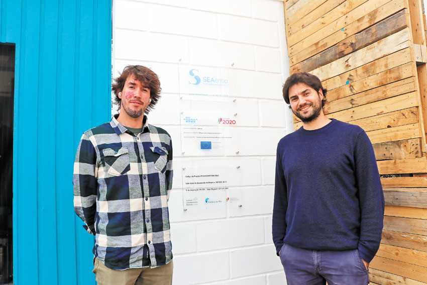 Start-up cria corvina em aquacultura