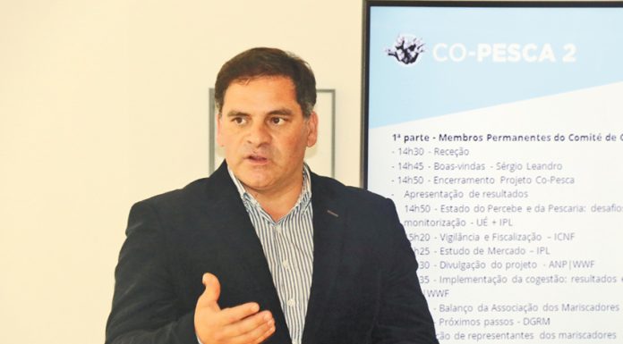 Percebe das Berlengas está mais protegido