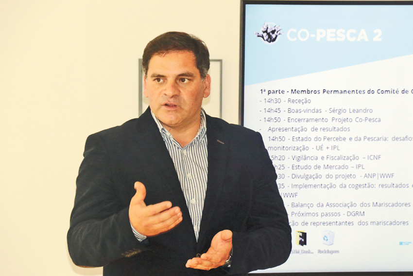 Percebe das Berlengas está mais protegido