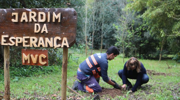 Jardim da Esperança plantado na Mata para assinalar o Dia da Mulher
