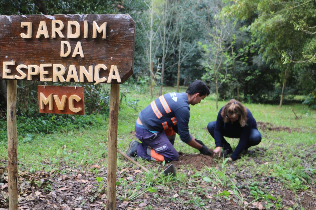 Jardim da Esperança plantado na Mata para assinalar o Dia da Mulher