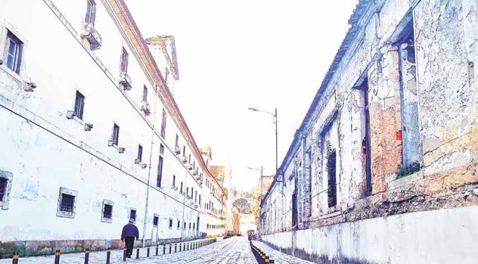 Feira de São Bernardo volta à Cova da Onça