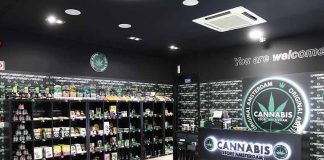 Cannabis Store Amsterdam abre nas Caldas da Rainha