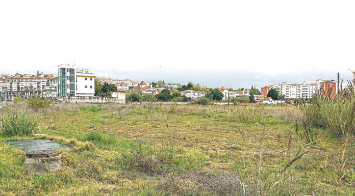 ACCCRO indignada por não ter sido ouvida pela Câmara no caso Mercadona