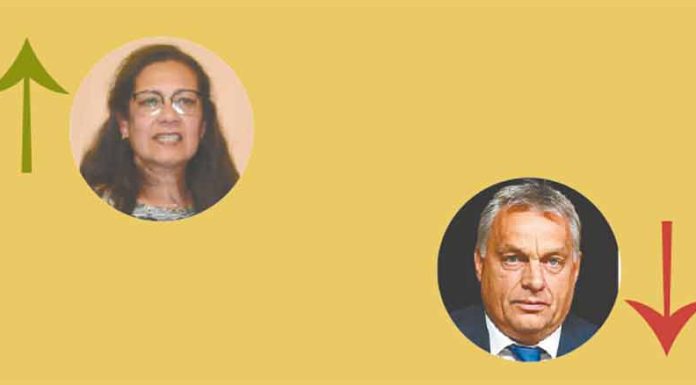 A Semana do Zé Povinho