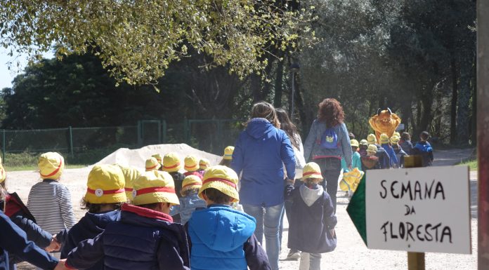 Cadaval assinala simbolicamente Semana da Floresta