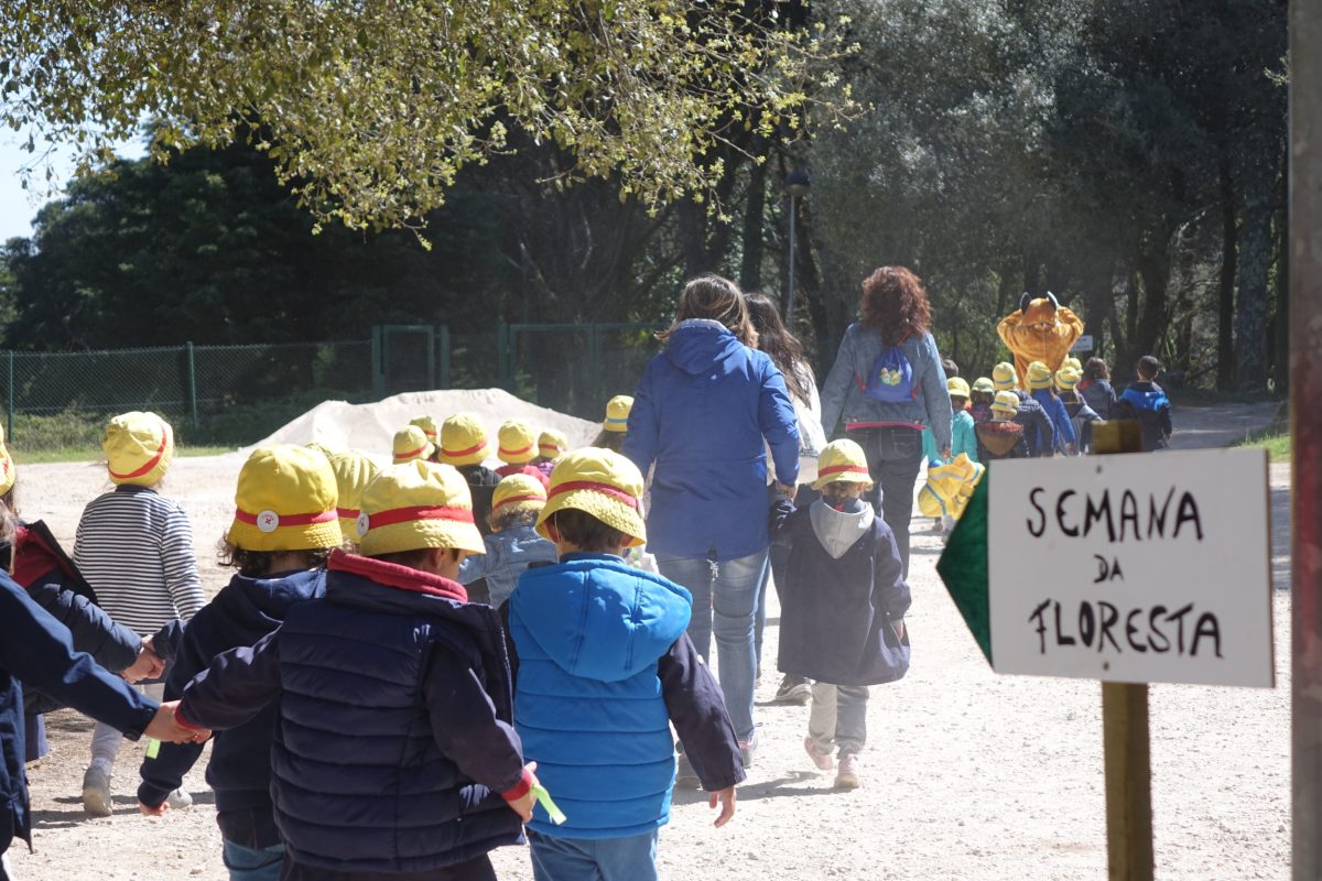 Cadaval assinala simbolicamente Semana da Floresta