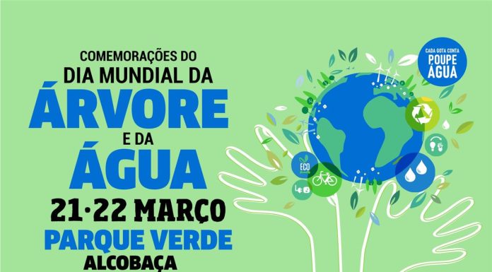 Alcobaça troca papel por plantas no Dia Mundial da Árvore