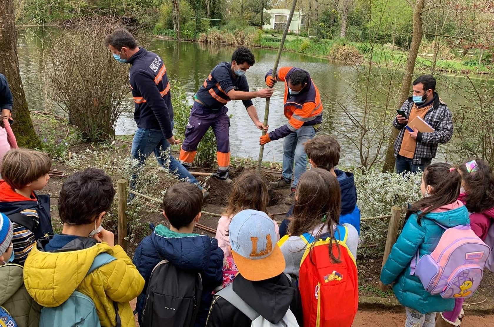 Crianças da região assinalaram Dia da Árvore