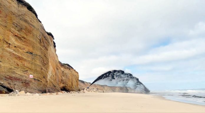 PCP reclama “intervenção rigorosa e eficaz” na Lagoa de Óbidos