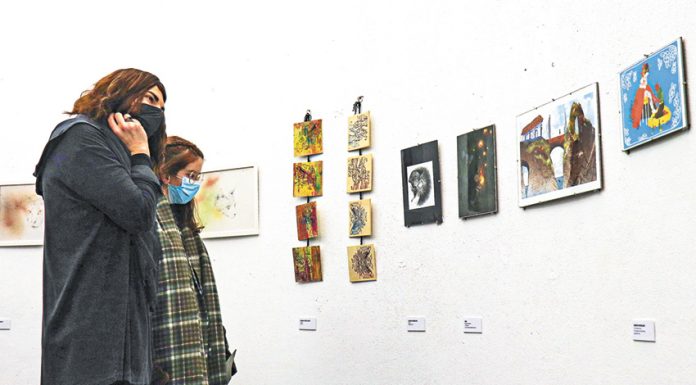 Há dez anos que a Maga traz ilustração às Caldas