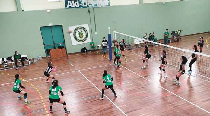 Voleibol: Vitória para Matias Canhoto