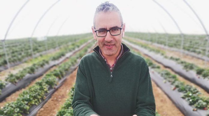 Casa Agrícola Ribeiros faz investimentos em novas variedades