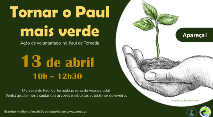 Paul de Tornada tem ação para as férias da Páscoa