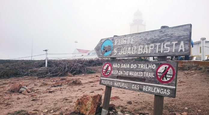 Pagar para visitar a ilha da Berlenga está dependente de plataforma