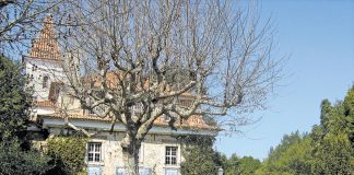 Museu de Cerâmica candidato a Monumento de Interesse Público
