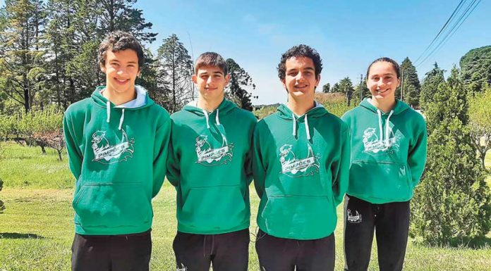 Natação: Gil Lemos e Luca Tona de prata