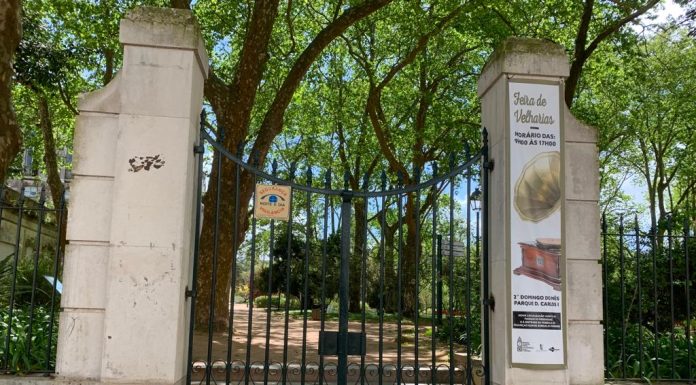 Condições climatéricas levam Junta a encerrar Parque D. Carlos I