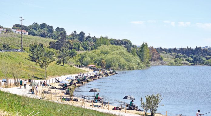 Parque de lazer e pesca abre na albufeira do Arnóia