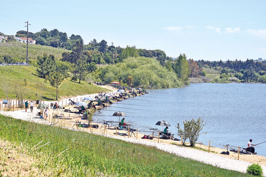 Parque de lazer  e pesca abre  na albufeira  do Arnóia