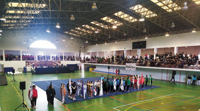 Ginástica: Bombarral recebeu milhares de pessoas na festa da modalidade