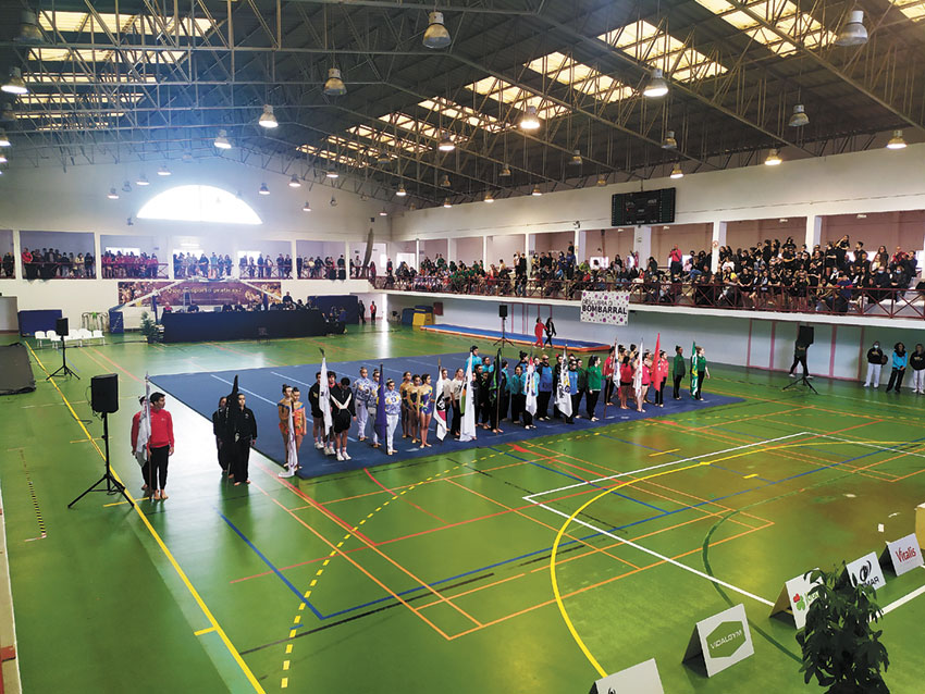 Ginástica: Bombarral recebeu milhares de pessoas na festa da modalidade