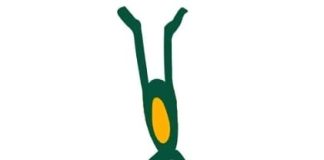 Ginástica: Serrana destaca-se nos distritais de mini trampolim