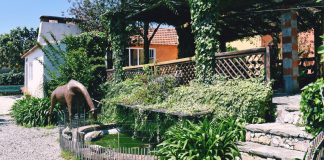 Dança: AbracAr-te dinamiza workshop de danças do mundo