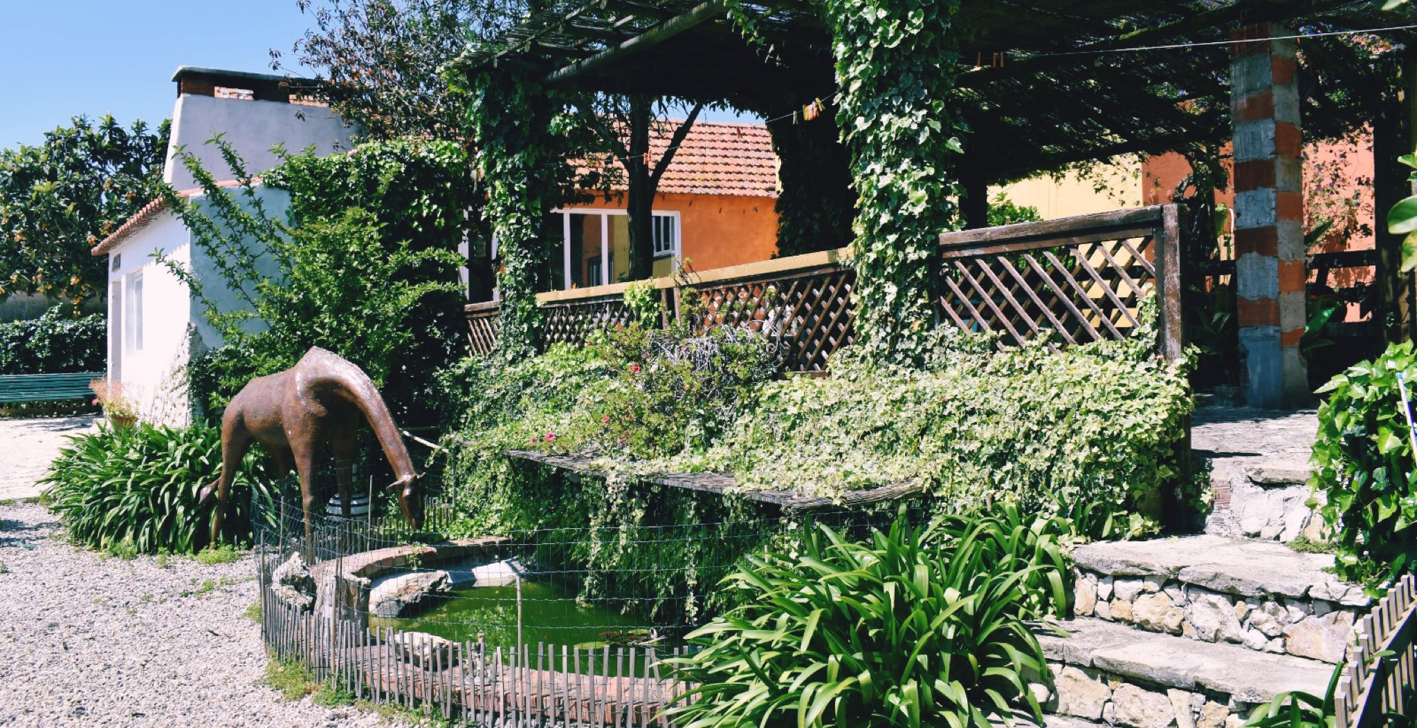 Dança: AbracAr-te dinamiza workshop de danças do mundo