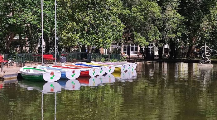 Passeios de barco no lago do Parque D. Carlos I retomados