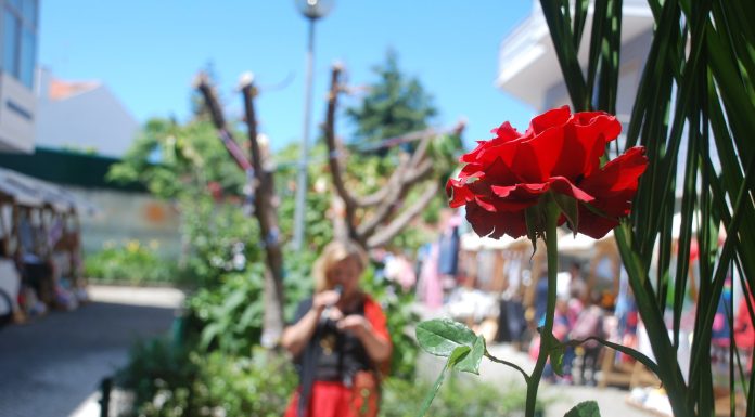 Festa da Flor no Bairro Azul