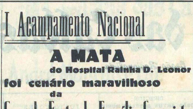 Mata Rainha D. Leonor foi palco do primeiro acampamento nacional do país