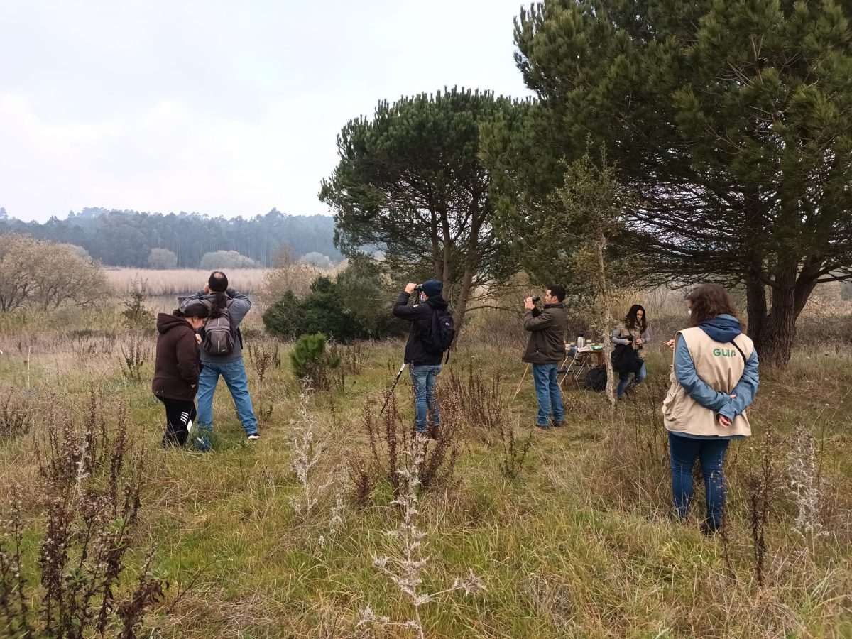 Atividade no Paul de Tornada este domingo