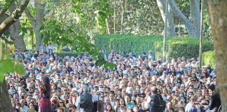 Cuca Roseta levou multidão ao Parque D. Carlos I