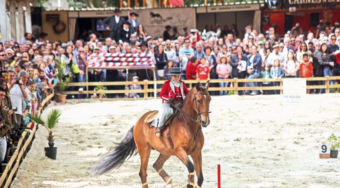 Oeste Lusitano começa amanhã