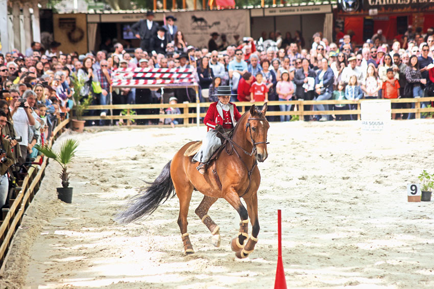 Oeste Lusitano começa amanhã