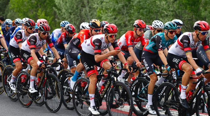 Dia tranquilo para João Almeida