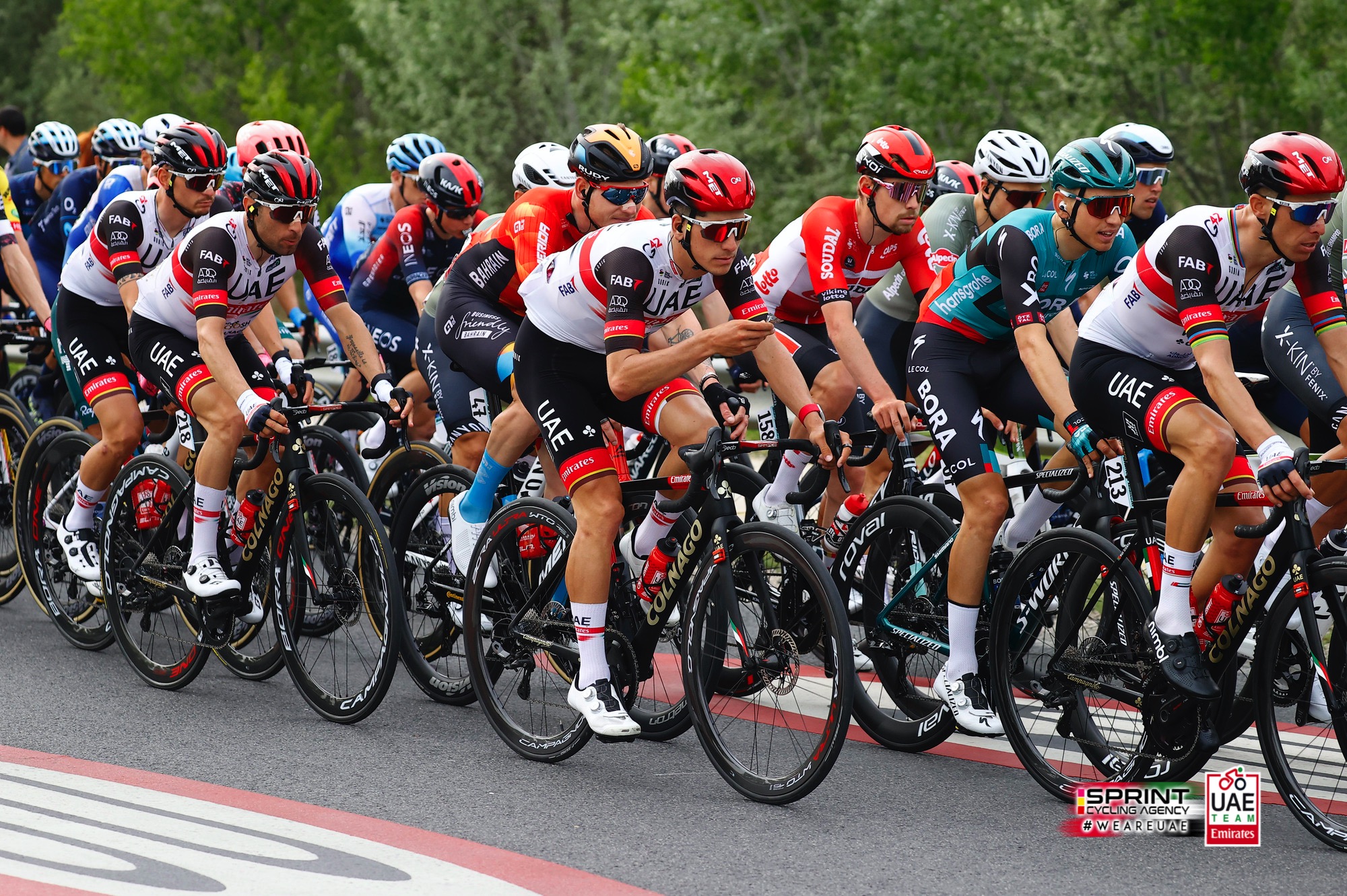 Dia tranquilo para João Almeida
