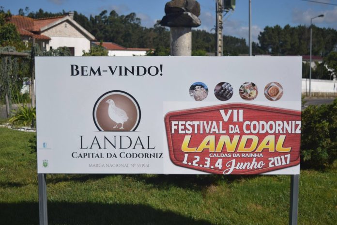 festival-codorniz