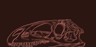 Oeste: Paleontologia do território retratada em documentário