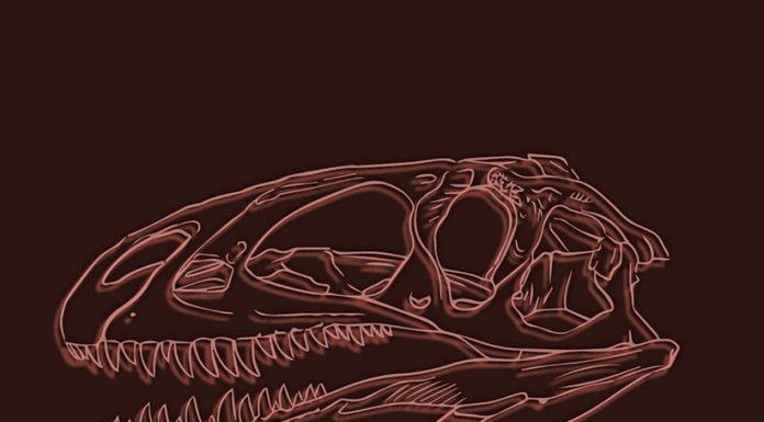 Oeste: Paleontologia do território retratada em documentário