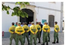 Brigada de Sapadores Florestais realizou trabalhos em Sobral de Monte Agraço