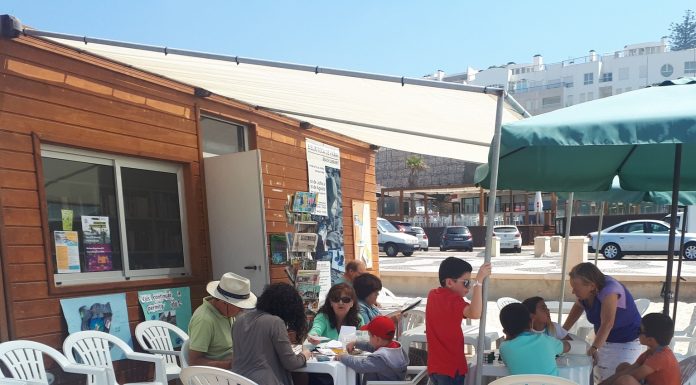 Biblioteca de Praia na Foz do Arelho a partir de 1 de julho