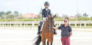 Hipismo: Áurea Sábio em destaque no nacional de dressage na Golegã